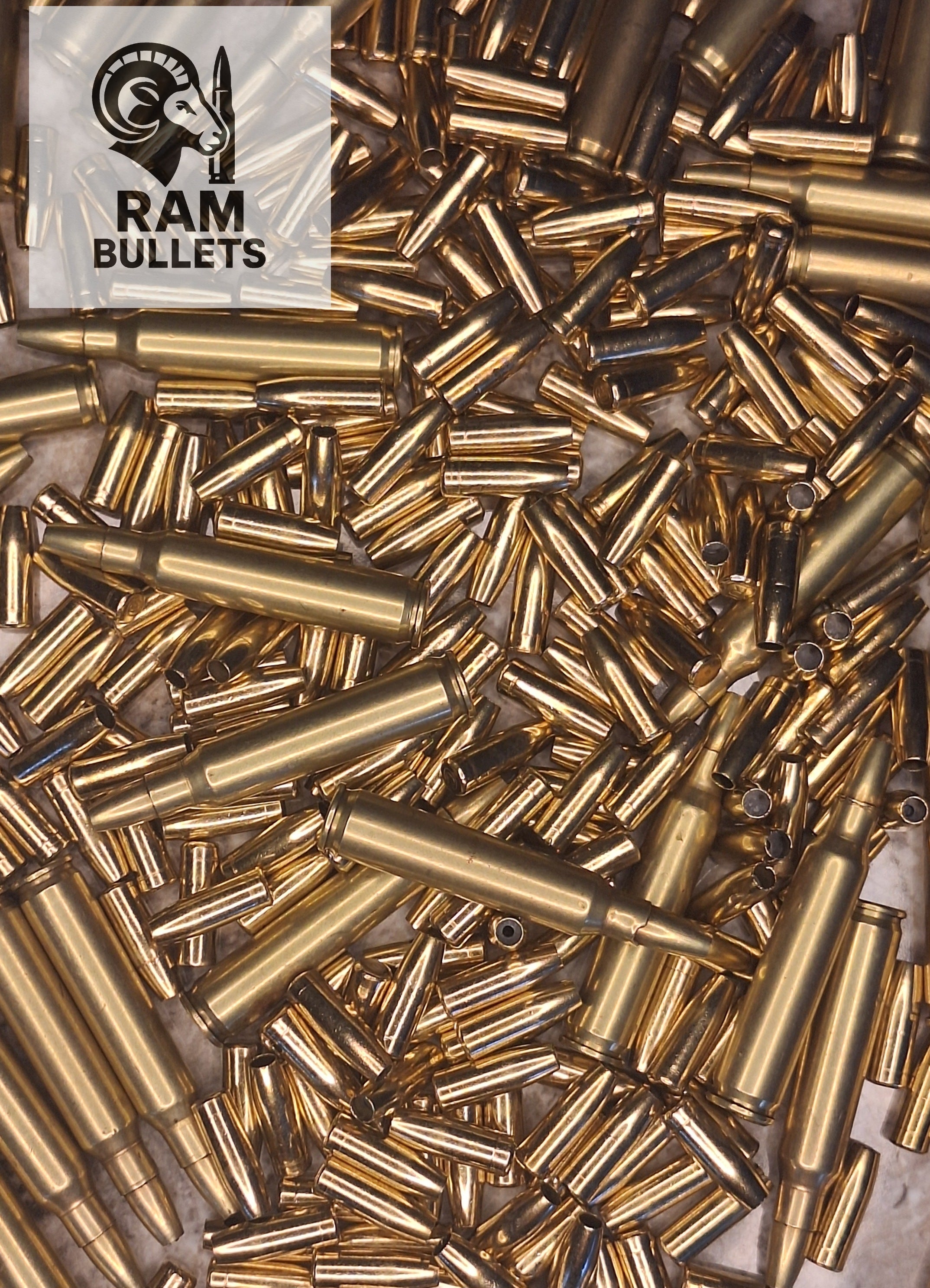 RAM .223 REM 55 Grain Jacketed Bullets (100 per pack)