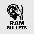 RAM .223 rem jacketed bullets on sale now  